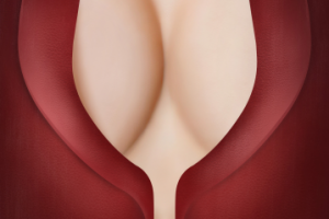 Винный постер