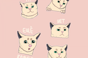 Стикеры с котом