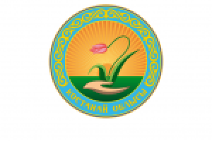 Эмблема организации