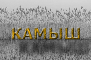 Монтаж вертикального видео