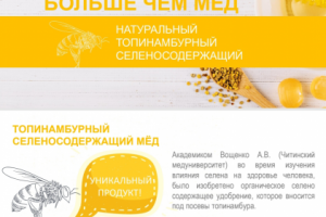 Презентация продукта