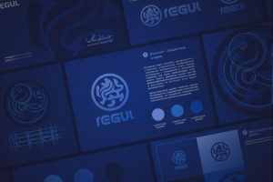 Брендбук для криптовалюты REGUL