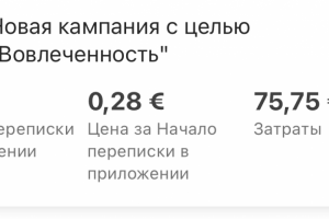 Настройка таргетированной рекламы для smm-специалиста