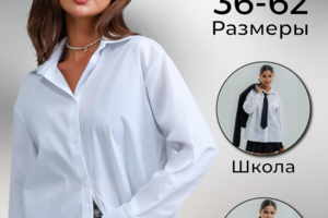 Инфографика вб и озон одежда