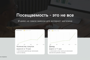 SEO-оптимизация интернет-магазина сантехники (Москва)