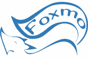 Именной логотип