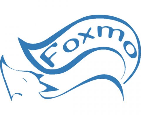 img3218801.png