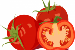 tomatos