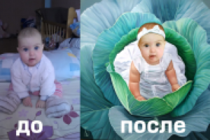 Работа 2552028