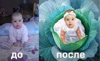 img2552028.png