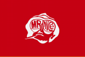логотип "Mr.Nice"