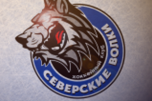 эмблема/логотип для детского хоккейного клуба "Северские Волки"