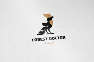 Работа 4101005