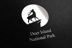 Работа 2995948