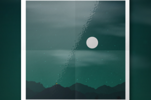 Работа 2971147