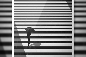 Работа 2642765