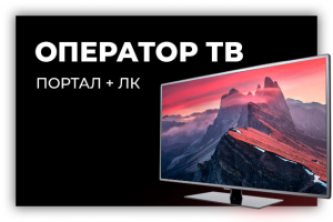 Работа 3765748