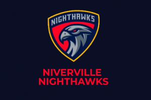 Проморолик для хоккейной команды