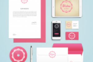 Malina  Фирменный стиль