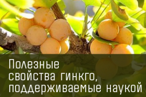 Работа 3813426