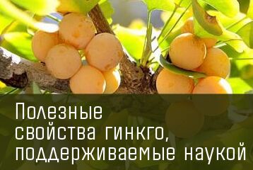 img3813426.png