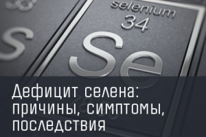 Работа 3808930