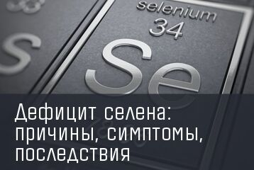 img3808930.png