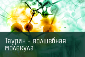 Работа 3808699