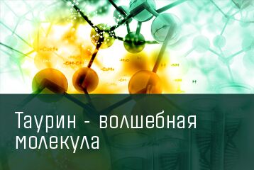img3808699.png