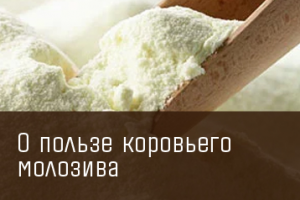 Работа 3808258