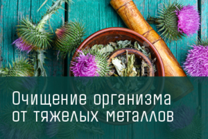 Работа 3808224