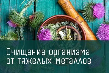 img3808224.png