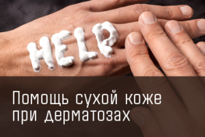 Работа 3808872