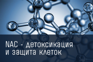 Работа 3808615