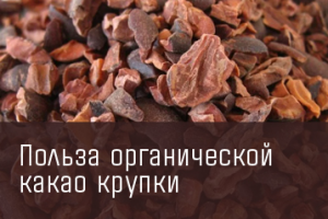 Работа 3808044