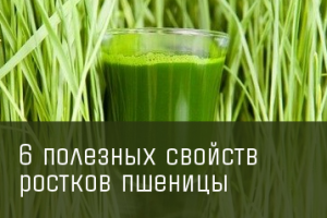 Работа 3808019