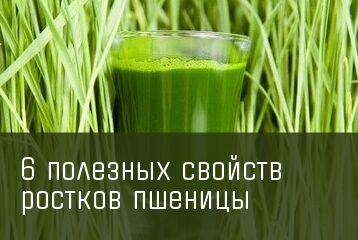 img3808019.png