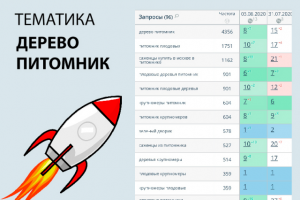 SEO продвижение сайта на тему дерево питомник