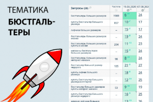 SEO продвижение сайта на тему бюстгальтеры