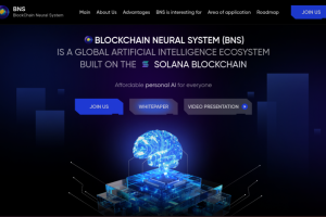 Крипто проект BlockChain Neural System (BNS)