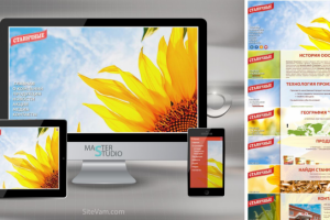 ООО «АгроСоюз» жареные семечки оптом