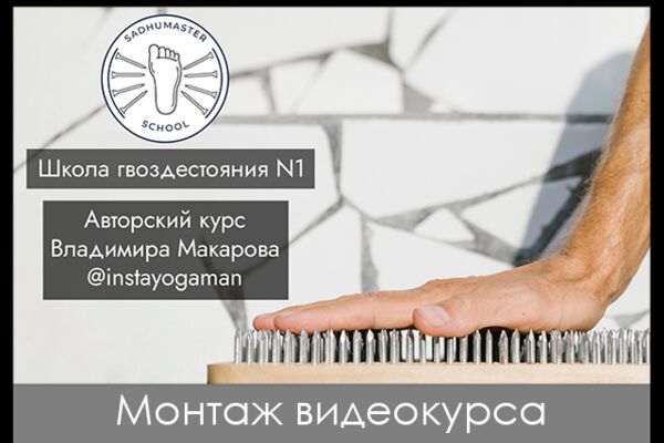 img4415146.png