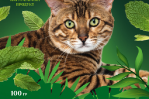 Этикетка Кошачья Мята