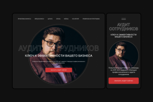 Лендинг по аудиту сотрудников