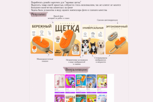 Инфографика щетка паровая