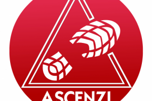 Логотип для обувной компании