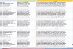 Рекламные объявления для Директ и Гугл