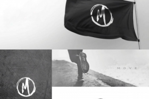 Разработка логотипа для спортивной фирмы