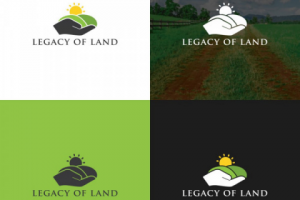 Разработка логотипа для компании