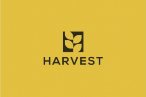 Разработка логотипа для клуба